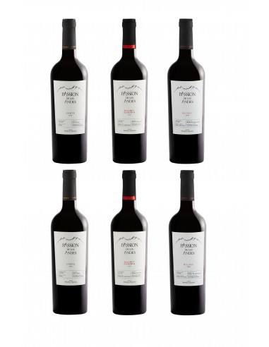 Pack 6 red wines